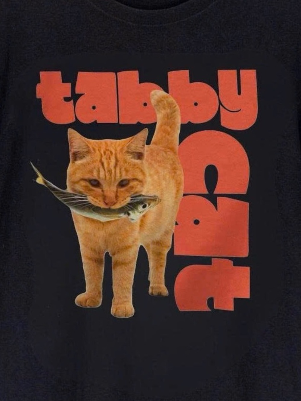 Gildan Black Tee with Orange Tabby Cat Fish Graphic - Picture 2 of 2